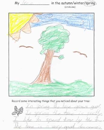 Spring Tree